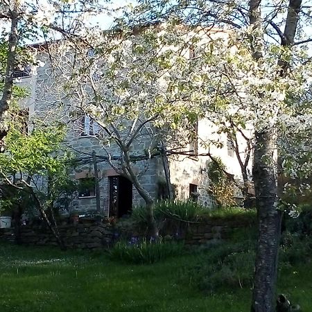 La Fonte B&B Pietralunga  Luaran gambar