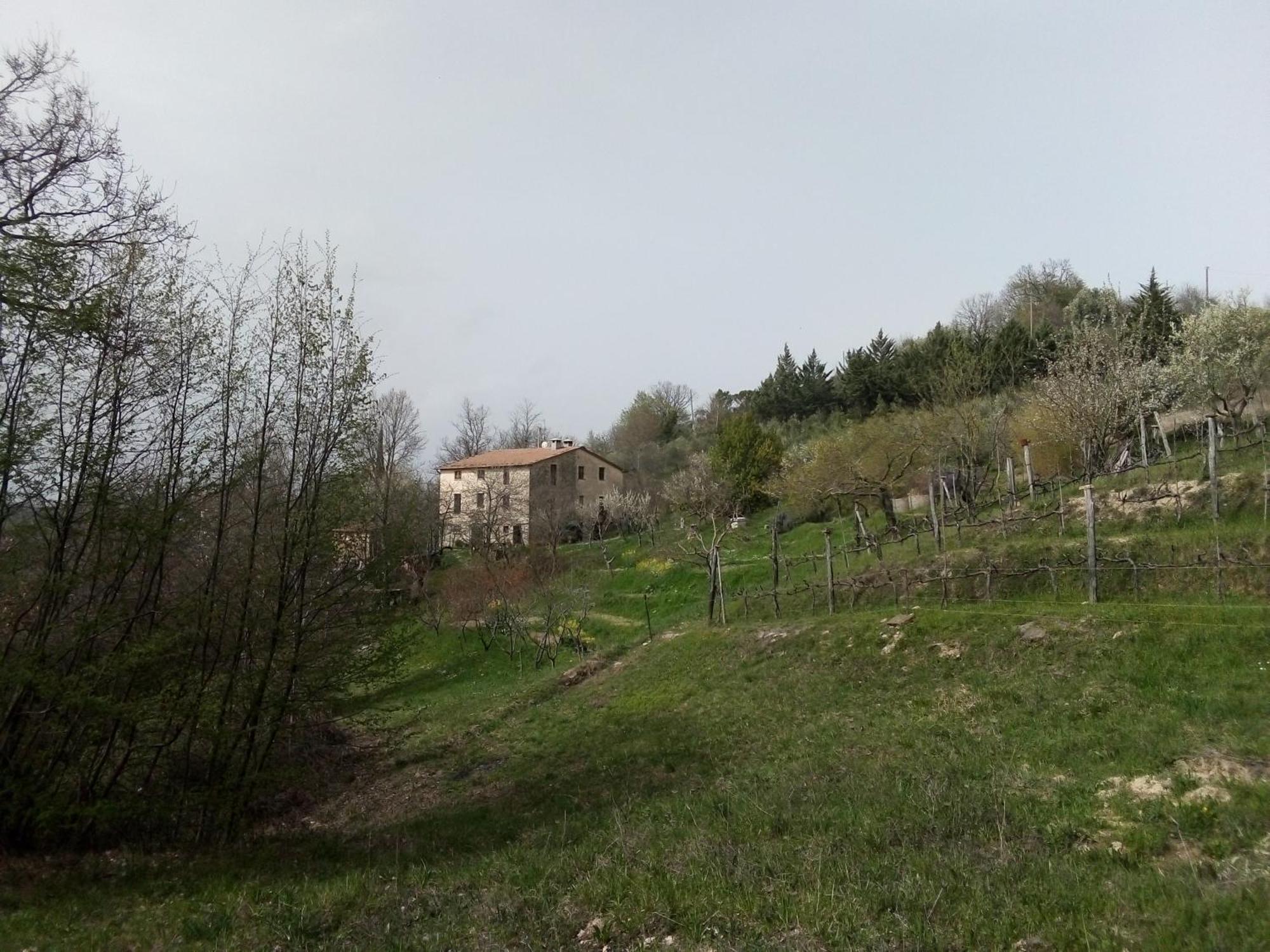 La Fonte B&B Pietralunga  Luaran gambar