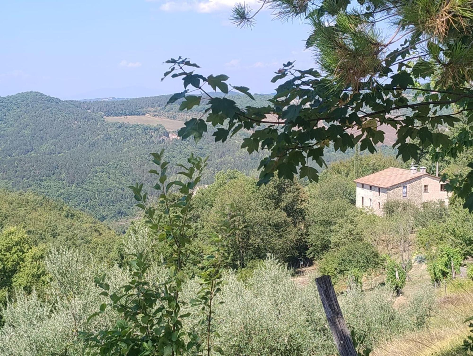 La Fonte B&B Pietralunga  Luaran gambar