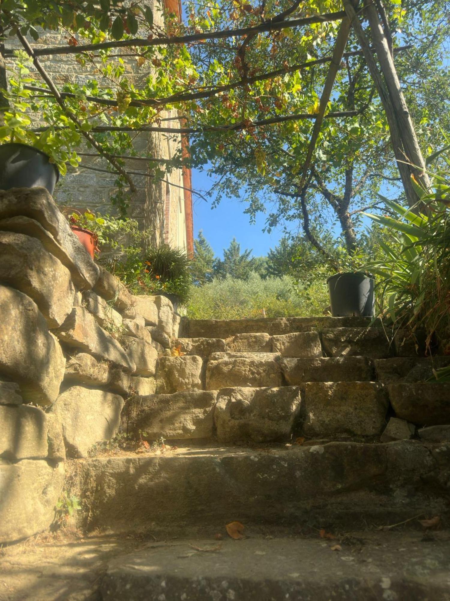 La Fonte B&B Pietralunga  Luaran gambar