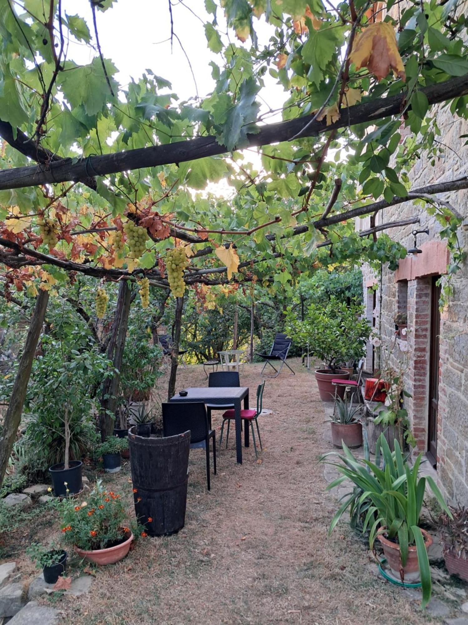 La Fonte B&B Pietralunga  Luaran gambar